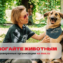 Яуза зовет вас на «Добрые выходные» 