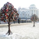 Trees of Love on Luzhkov Bridge