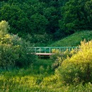 Troparevskiy woodland park