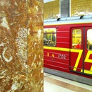 The Bird at the Krasnoselskaya Station