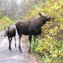 Elk Island National Nature Park