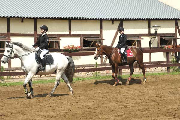 horseback riding tack